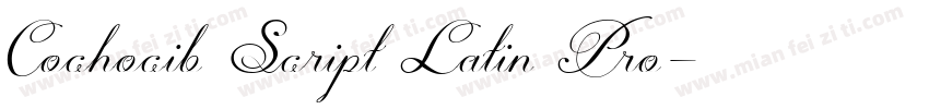 Cochocib Script Latin Pro字体转换